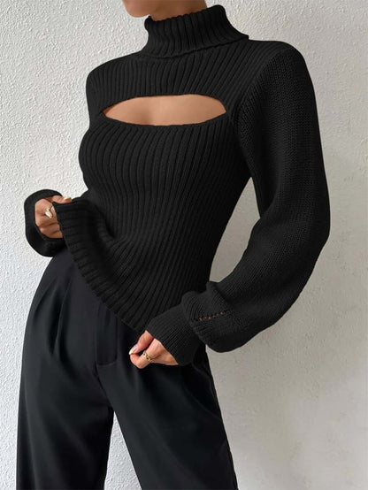 Women Sexy Solid Turtleneck Knitted Sweater | NCS