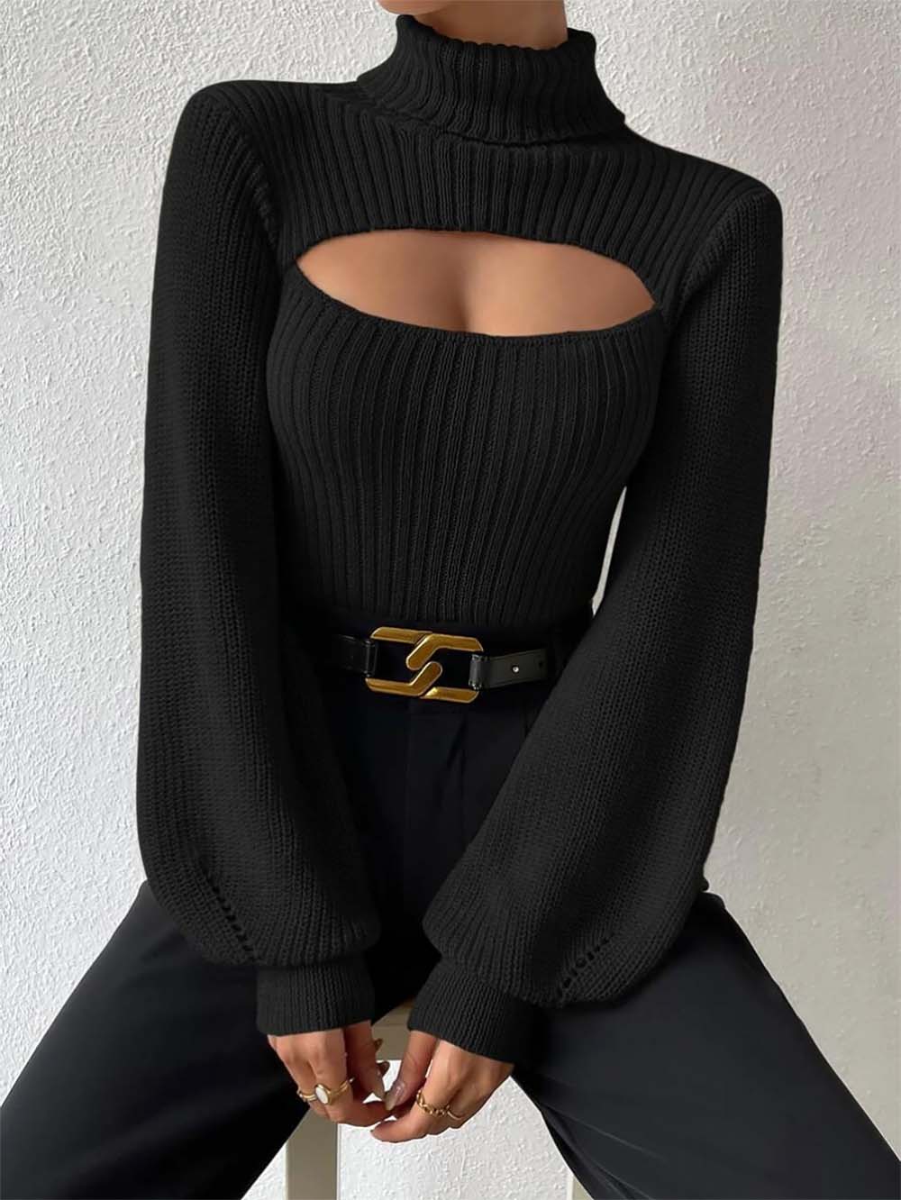 Women Sexy Solid Turtleneck Knitted Sweater | NCS