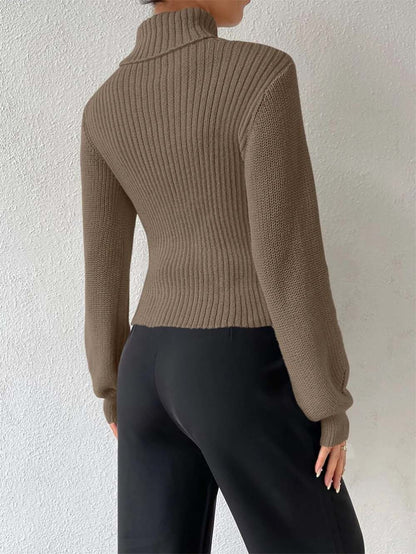 Women Sexy Solid Turtleneck Knitted Sweater | NCS