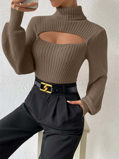 Women Sexy Solid Turtleneck Knitted Sweater | NCS